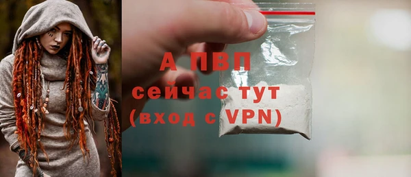 a pvp Бородино