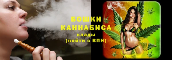 индика Бронницы